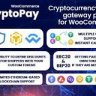CryptoPay WooCommerce  - Cryptocurrency payment plugin