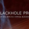 Blackhole Pro - Trap Bad Bots In a Virtual Blackhole